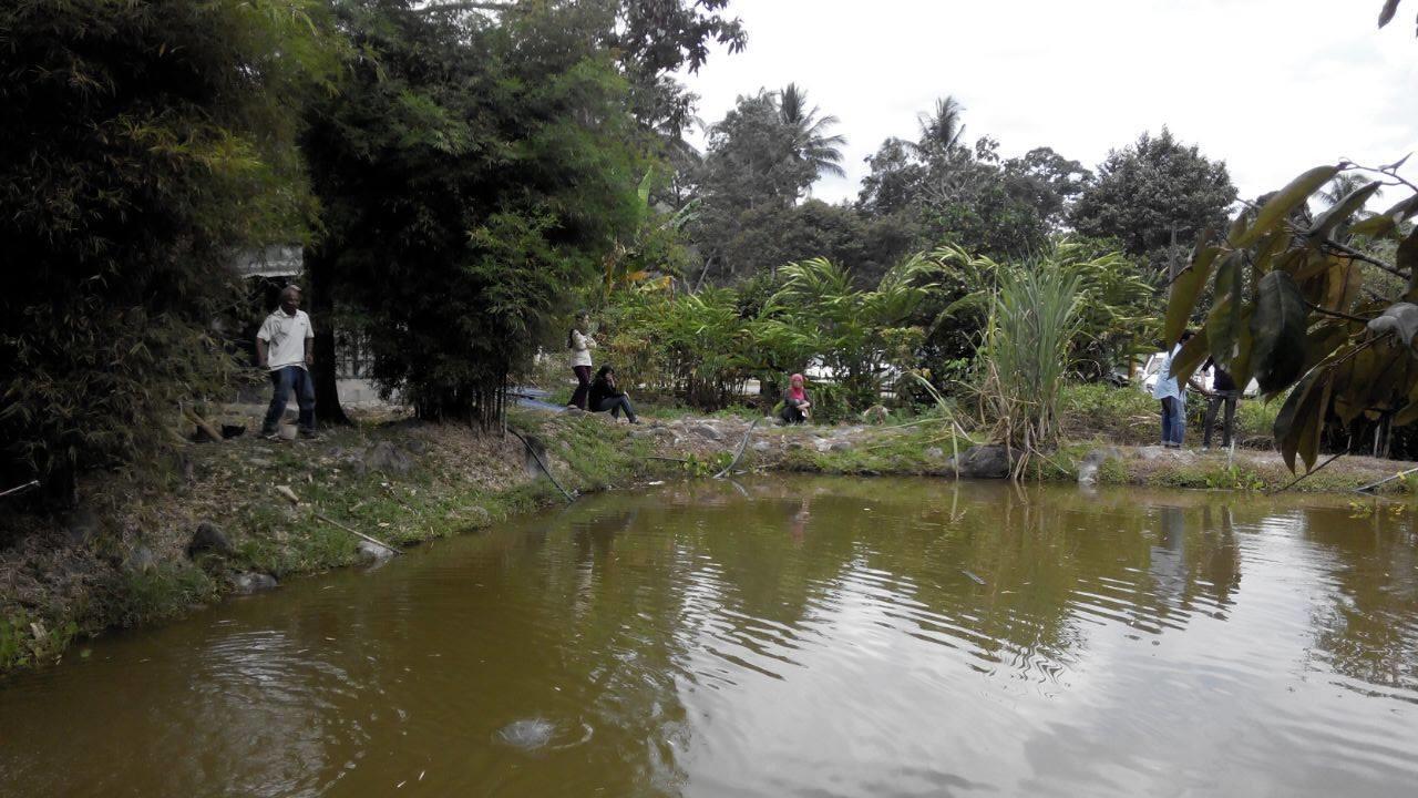 Lopoh Waterfront Budget Chalets Vila Hulu Langat Exterior foto